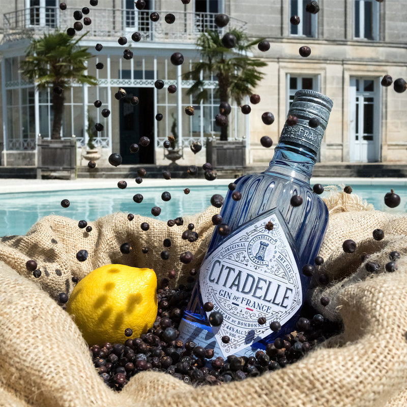 GINEBRA CITADELLE 750ML