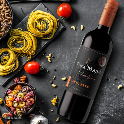 VINO TINTO VIÑA MAIPO CARMENERE 750ML