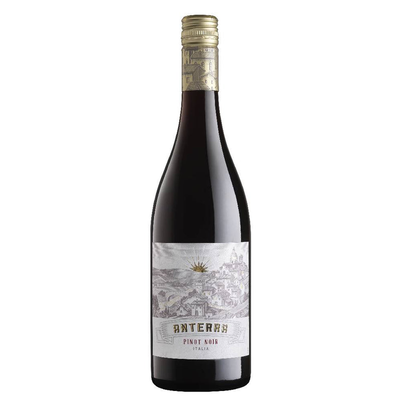 VINO TINTO ANTERRA PINOT NOIR 750ML