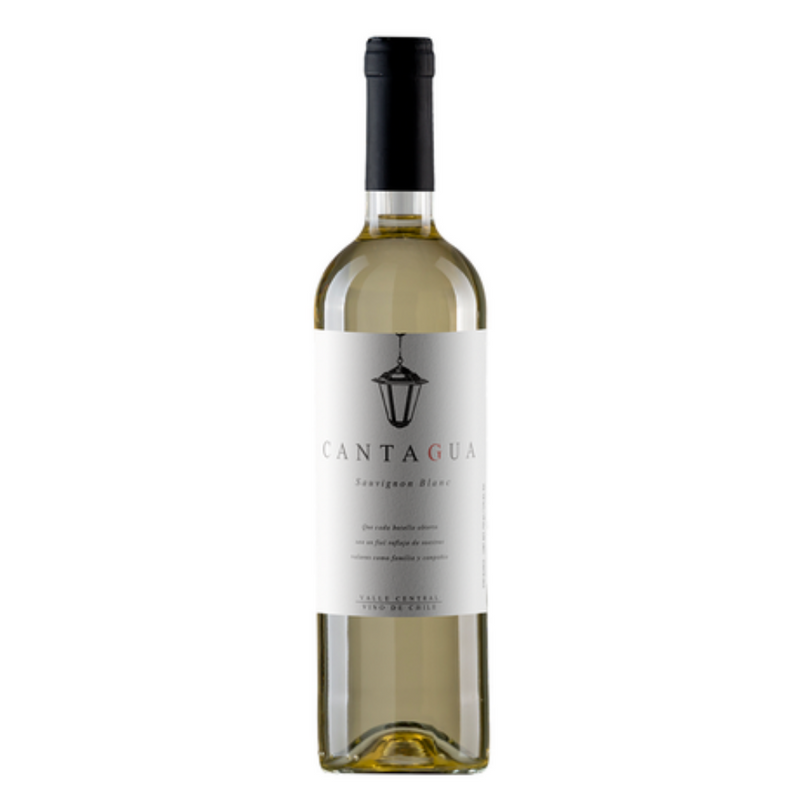 VINO BLANCO CANTAGUA SAUVIGNON BLANC 750ML